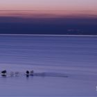 AMMERSEE Blue/Violett #1