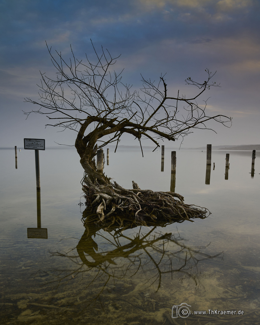 Ammersee C1_Z72_0254_