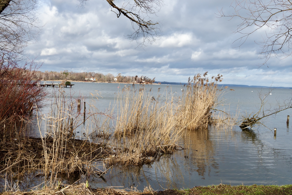 Ammersee