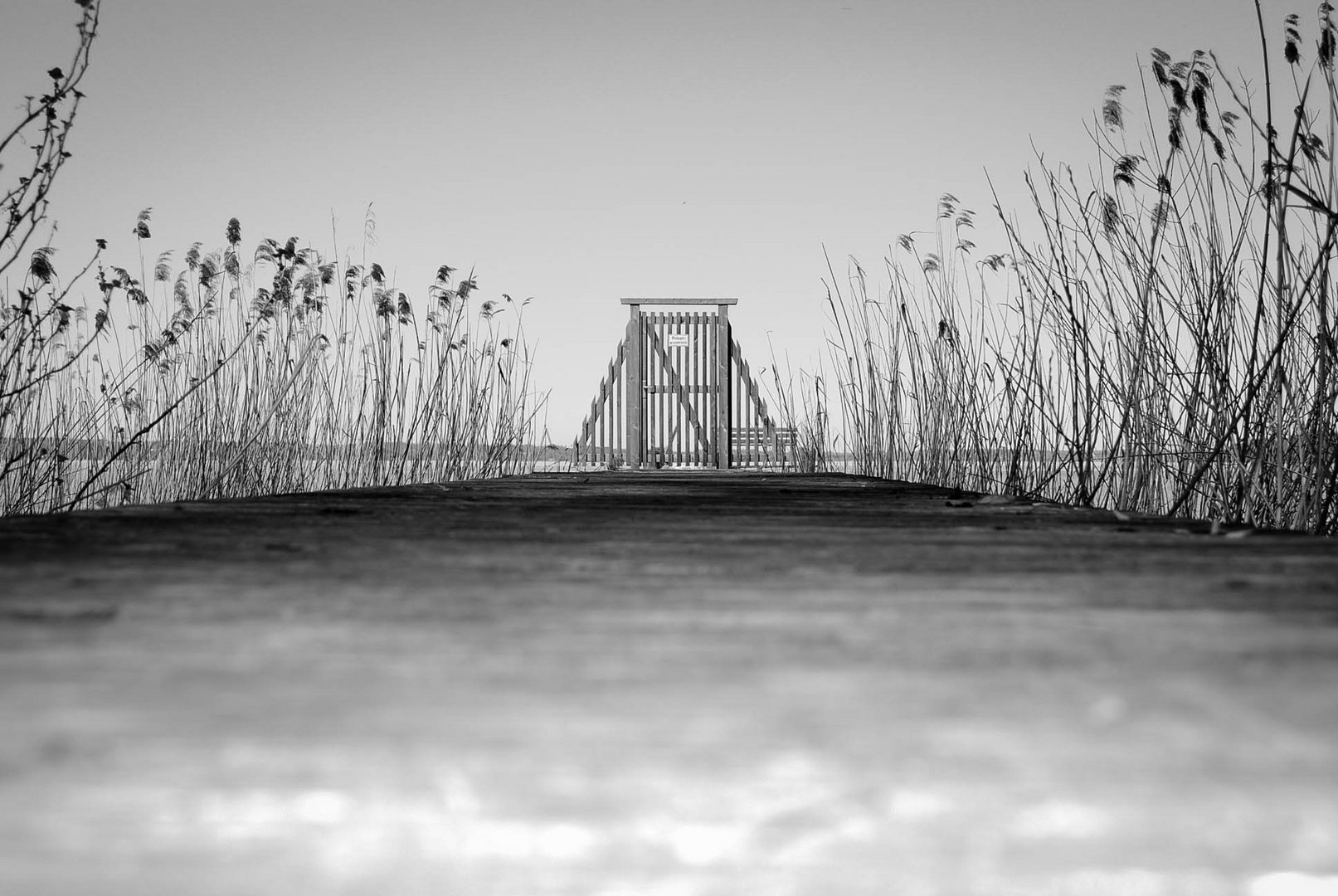 Ammersee