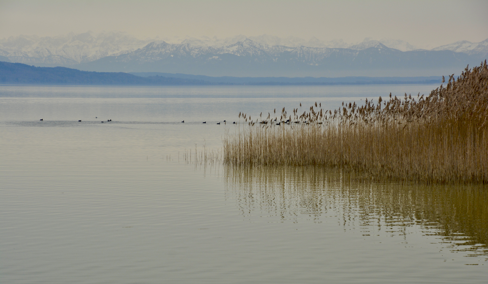 Ammersee