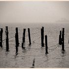 ammersee I