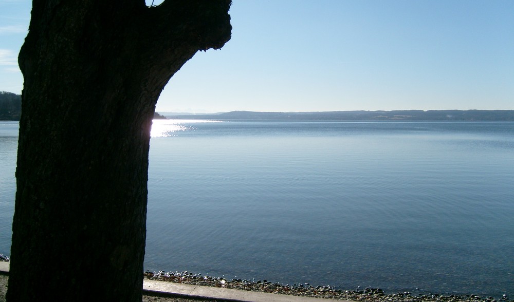 Ammersee im Februar