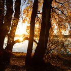 Ammersee im Herbst