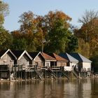 Ammersee im Herbst