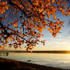 Ammersee im Herbst, Abendsonne