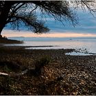 Ammersee im November