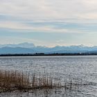 Ammersee-Impression