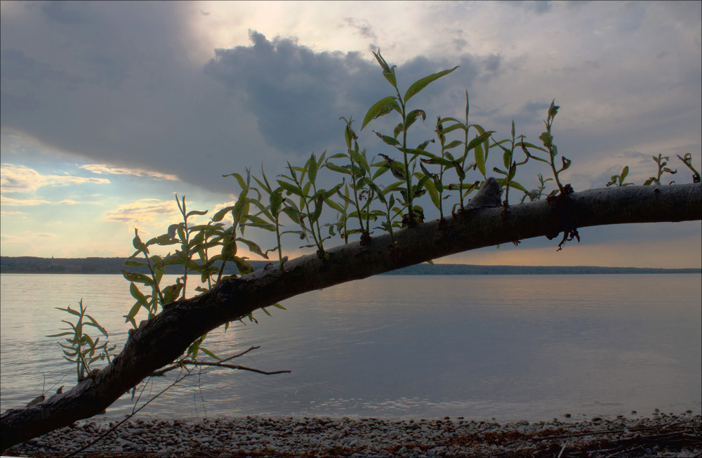 Ammersee- Impressionen (1)