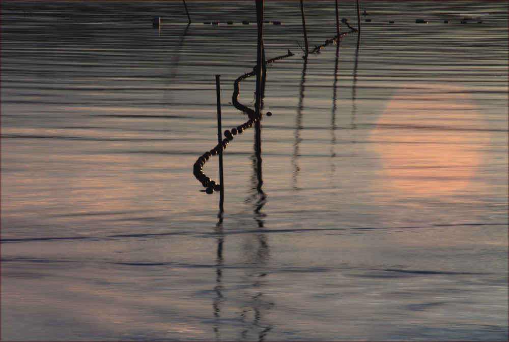 Ammersee- Impressionen ( 14)