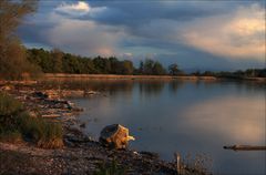 Ammersee- Impressionen (2)