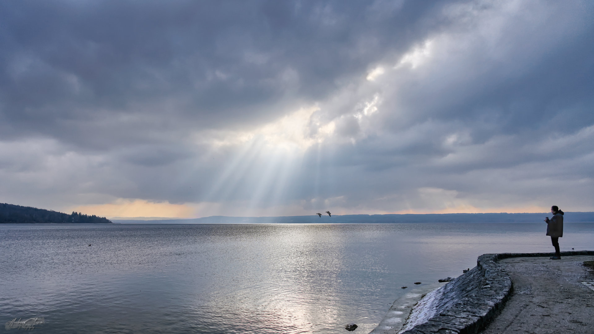 Ammersee Impressionen I