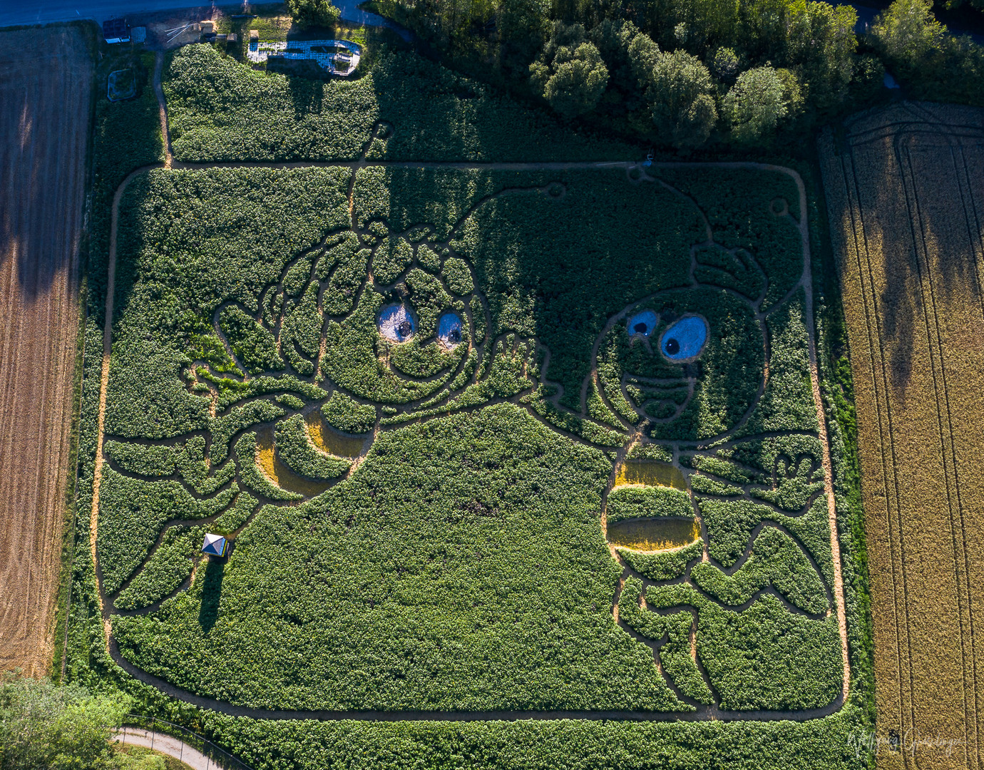 Ammersee Labyrinth