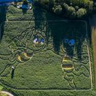 Ammersee Labyrinth