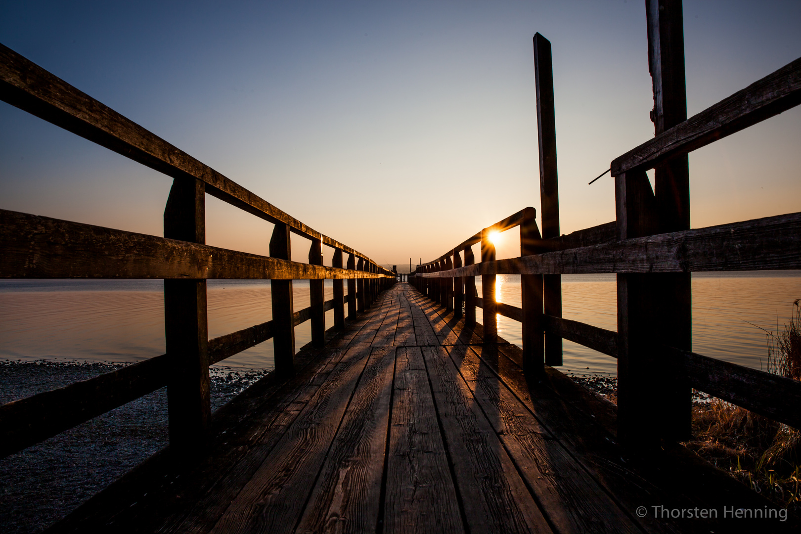 Ammersee Schilf zum Sonnenuntergang