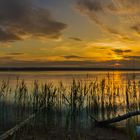 Ammersee Sunset