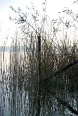 Ammersee Ufer