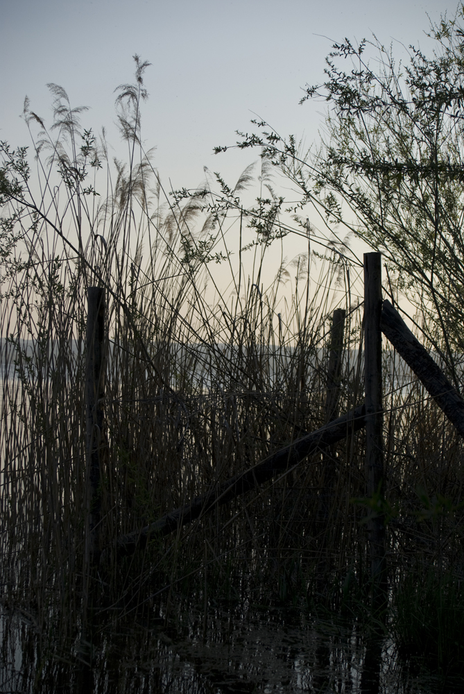 Ammersee Ufer_02