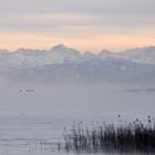 Ammersee - Winterliche Stimmung