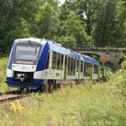 Ammerseebahn nahe Schondorf 20.7.2023