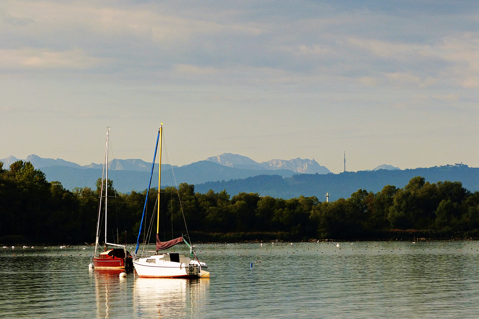 Ammerseeidylle mit Bergblick