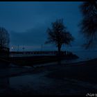 AmMeRsEe@NiGhT