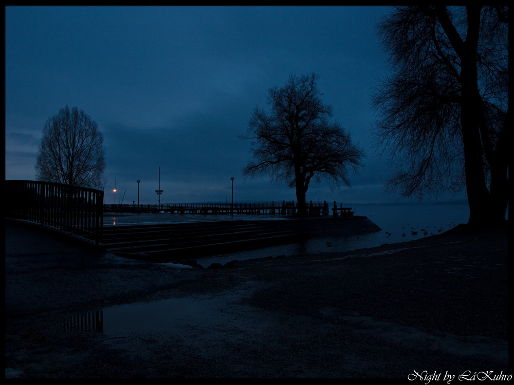 AmMeRsEe@NiGhT