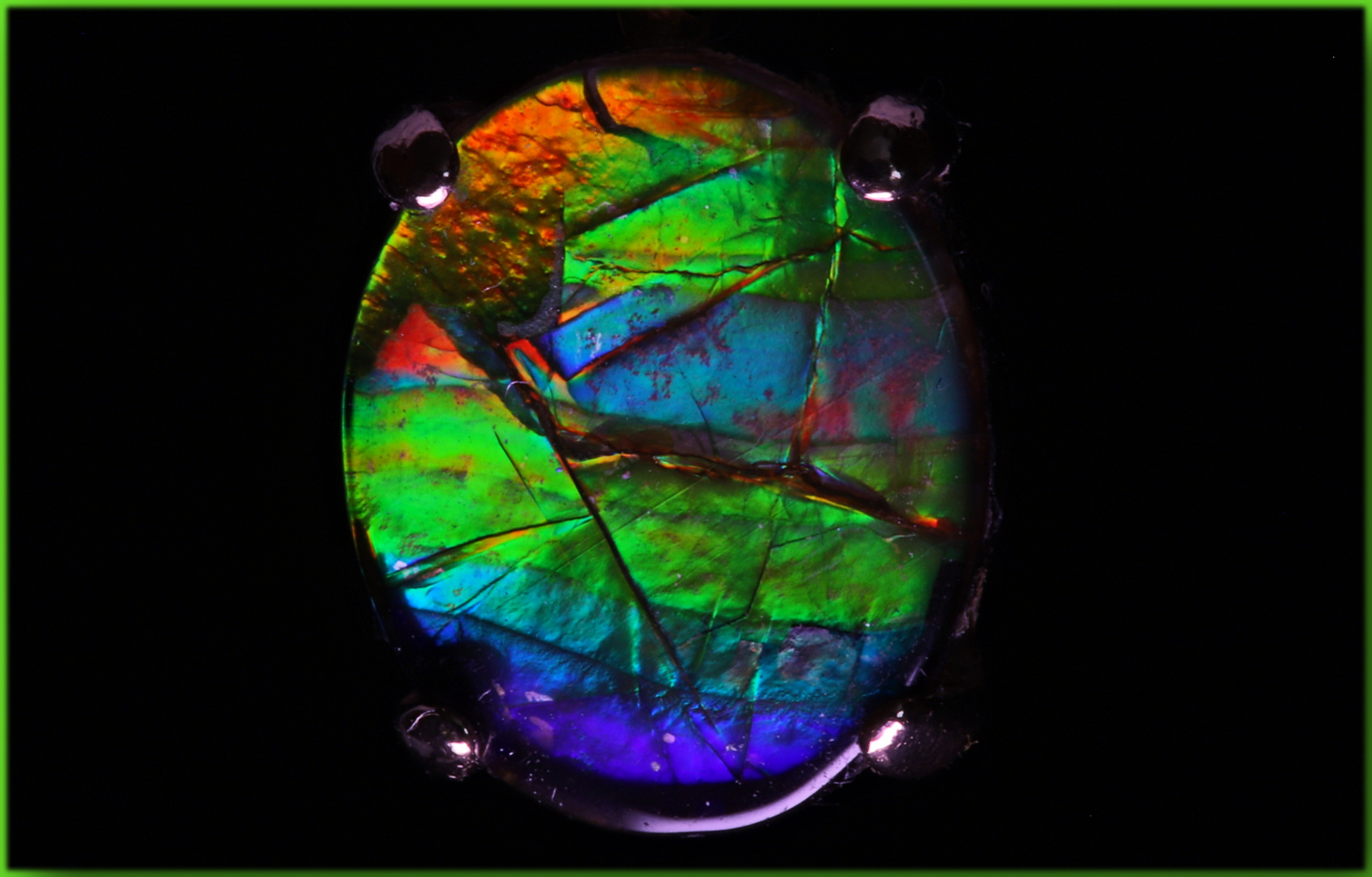 Ammolite Canada