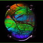 Ammolite Canada