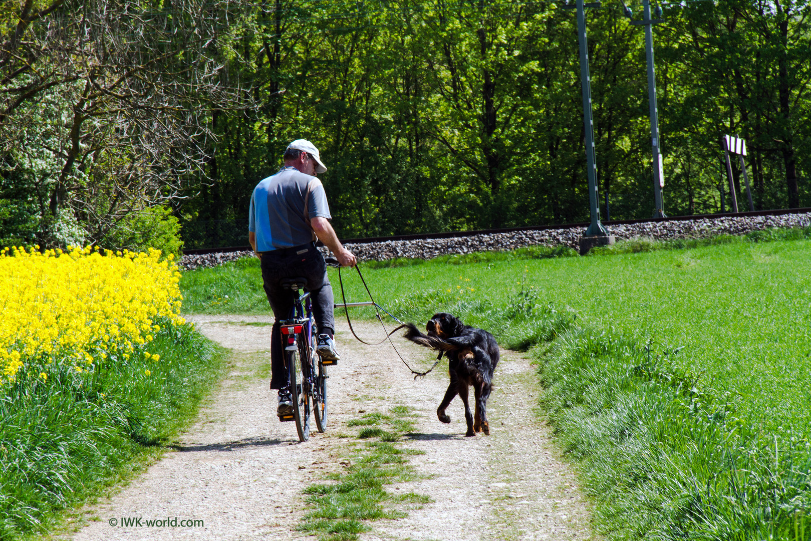 Ammon lernt Fahrrad ...