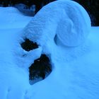 Ammonite a .....12 gradi sotto zero