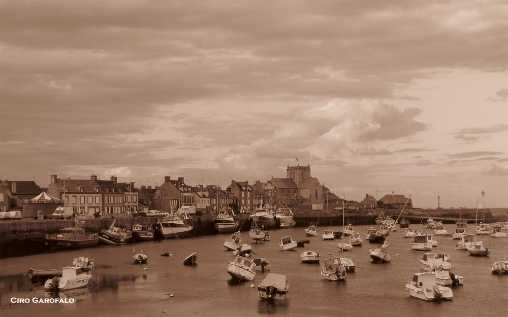 Amo Barfleur