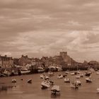 Amo Barfleur