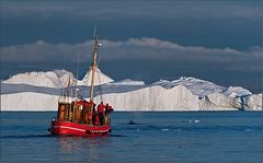 among the icebergs there were whales