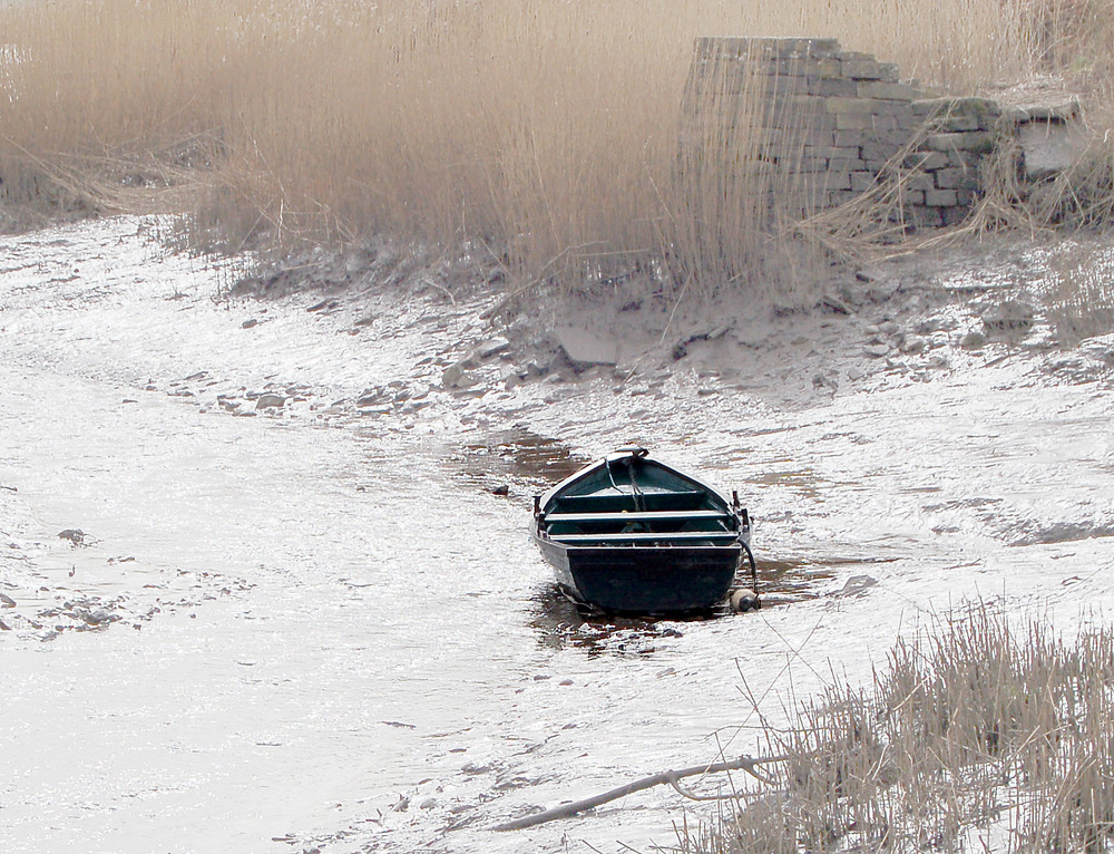 Among the Reeds