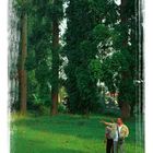 Among The Trees