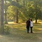 Among the Trees and Grasses Green We Loved