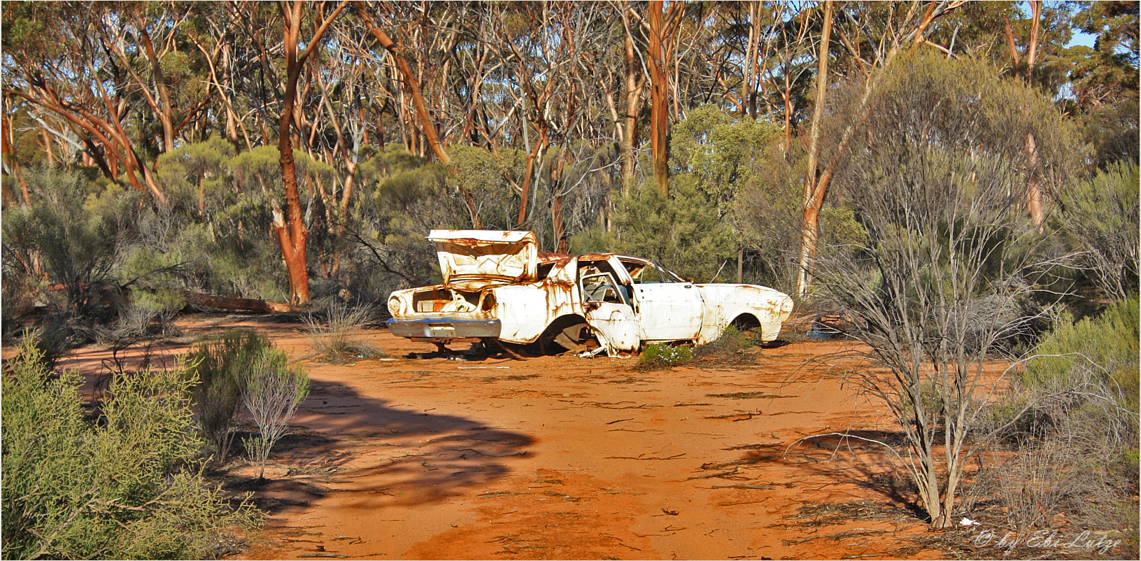 ** Amongst the Gum Trees / and free Spare Parts **