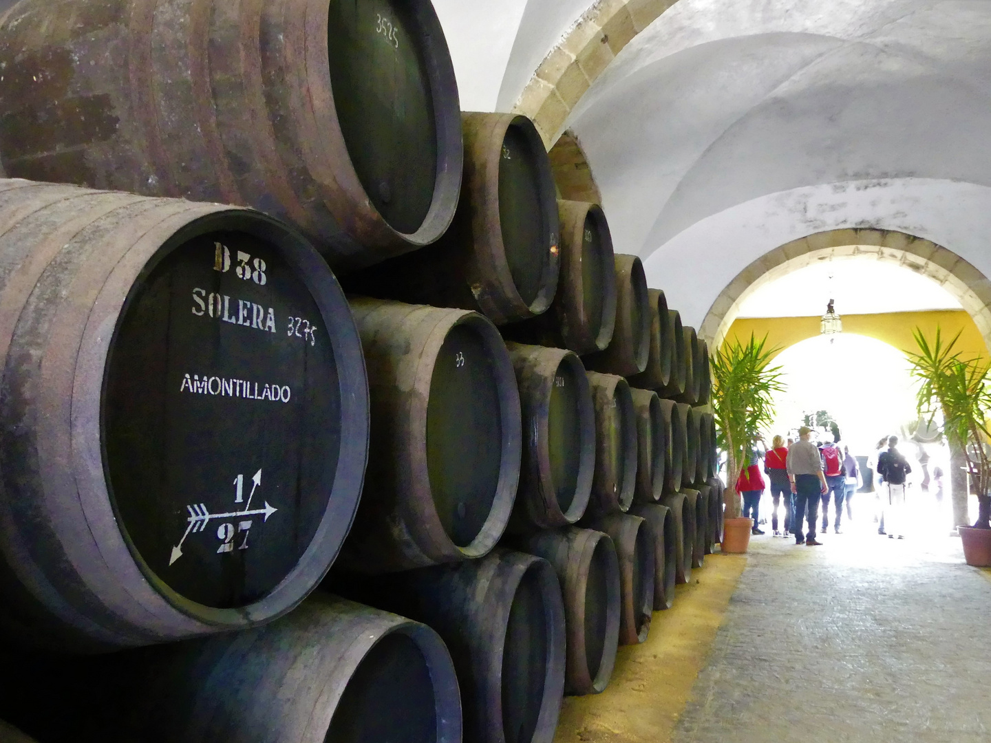 AMONTILLADO