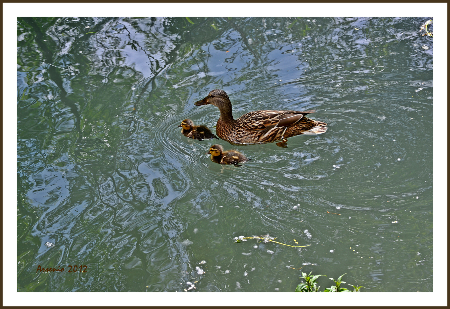 AMOR DE MADRE