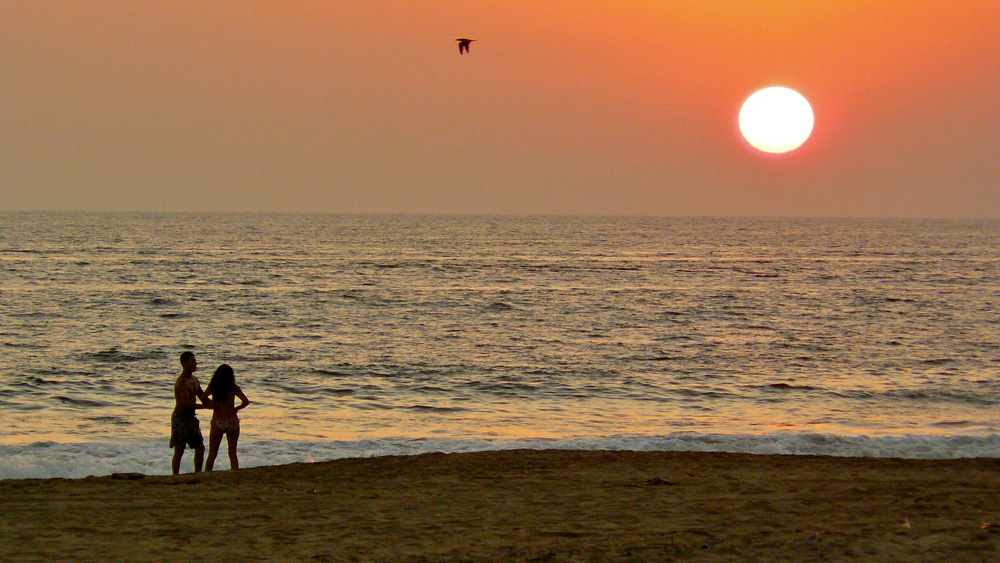 Amor de Verano