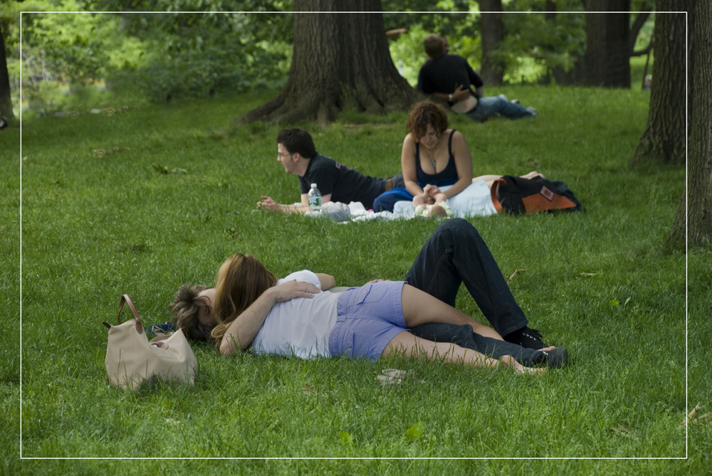 Amor in Centralpark New York