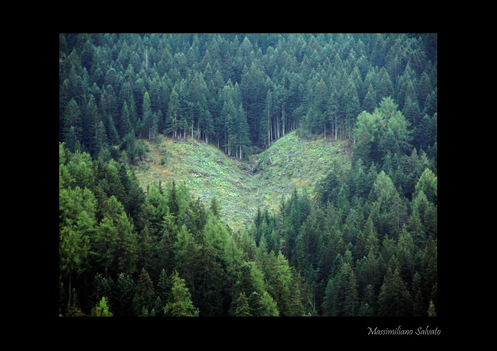 Amore per la Natura