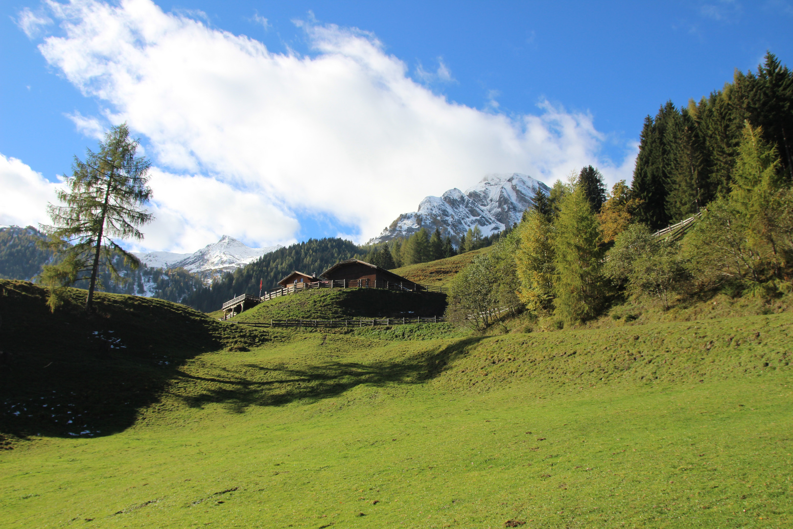 Amoser Alm