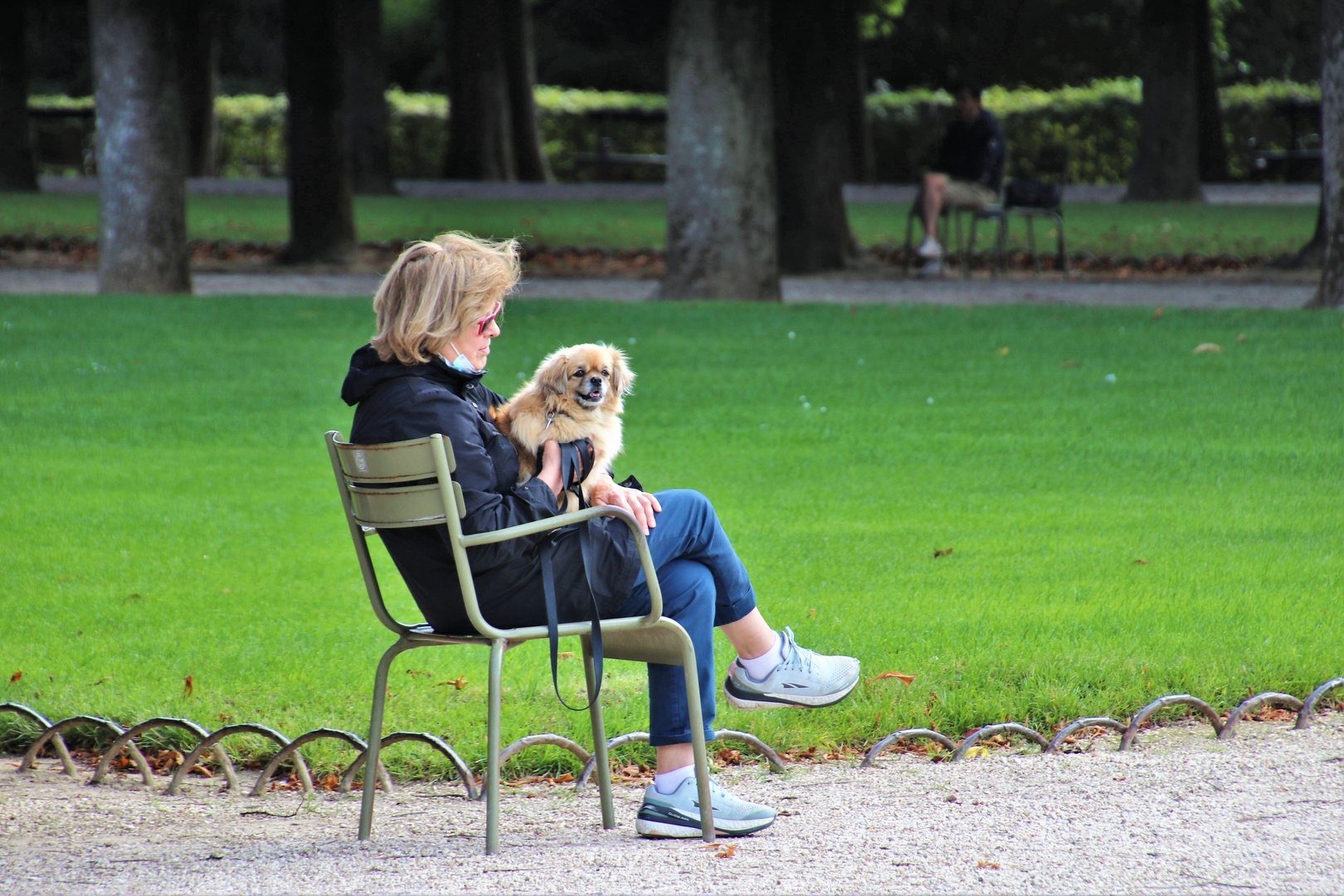 'Amour du chien' ou 'Les blondes'