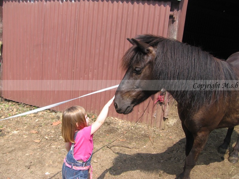 Amour enfant cheval !