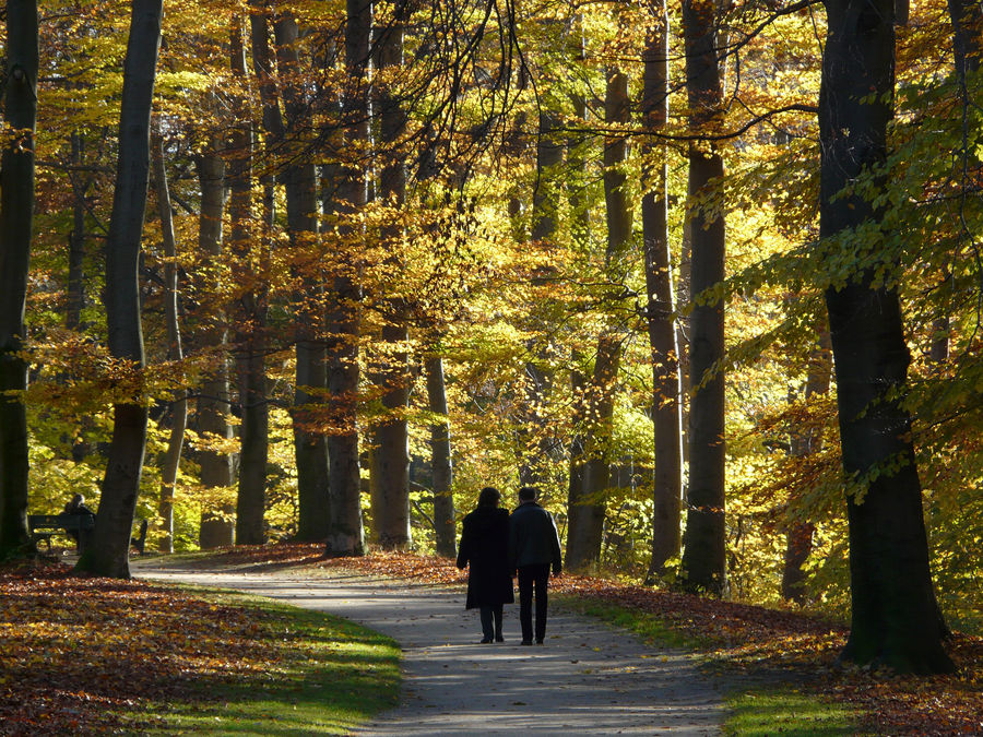 Amoureux dans un parc