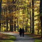 Amoureux dans un parc