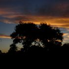 Amoureux sous un couché de soleil australien