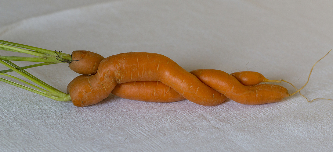 Amours de carottes